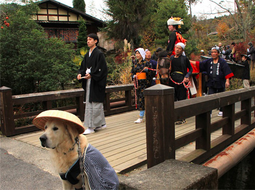 法律规范斑斓的乡村美景  揭秘日本乡村游的概貌