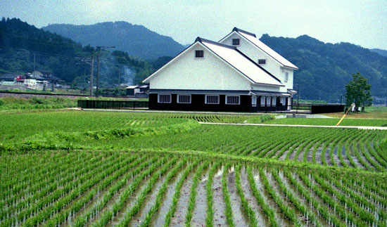 资料图：日本农村风景