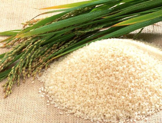 日本下调大米生产目标