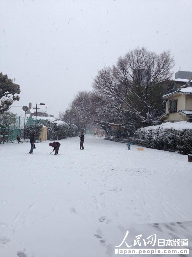 【高清组图】东京迎强降雪　预计积雪量将超20厘米