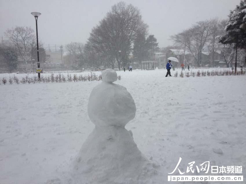 【独家高清】日本普降大雪 东京时隔16年出现10厘米积雪【3】
