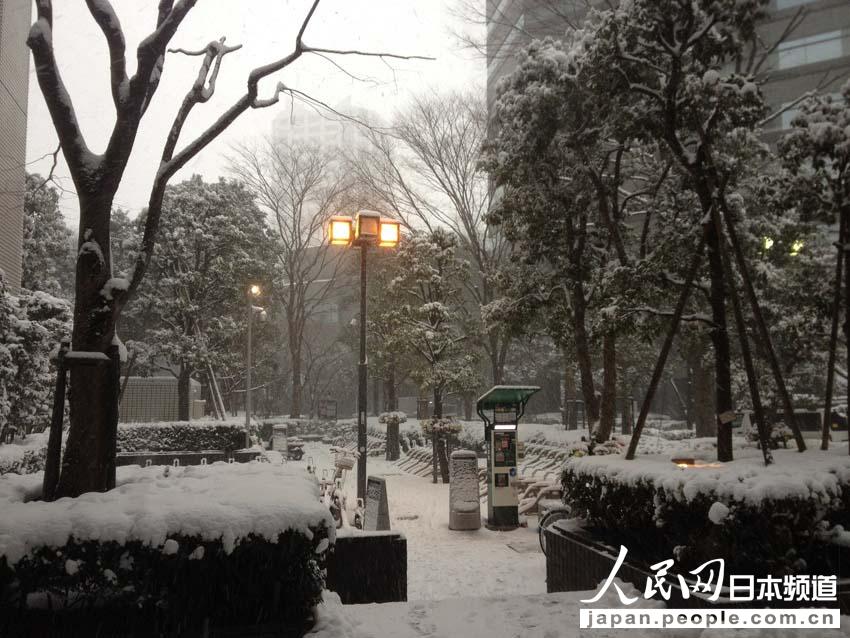 【独家高清】日本普降大雪 东京时隔16年出现10厘米积雪【2】