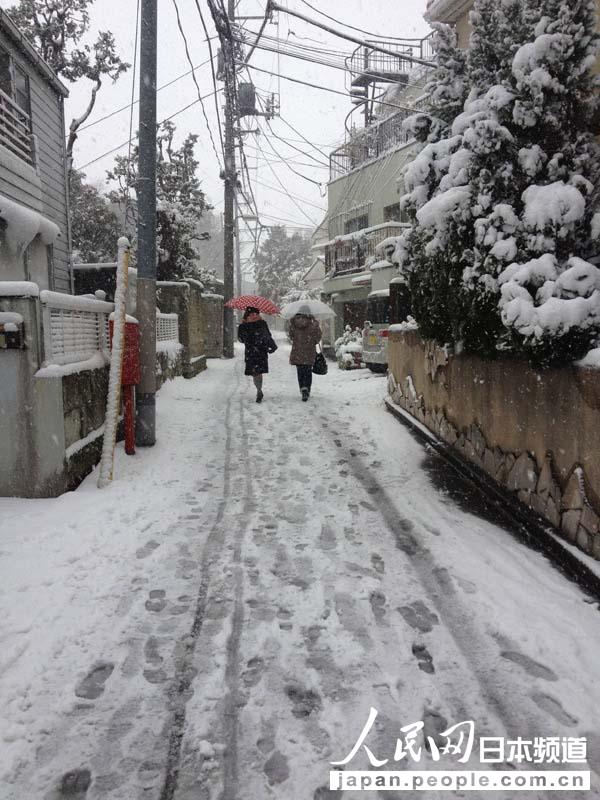 【独家高清】日本普降大雪 东京时隔16年出现10厘米积雪【10】