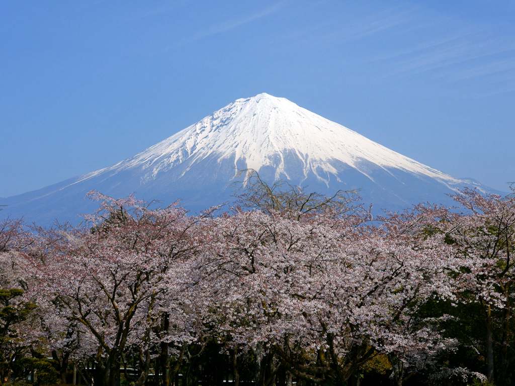 日本富士山惨遭喷漆涂鸦 已递交文化遗产毁损