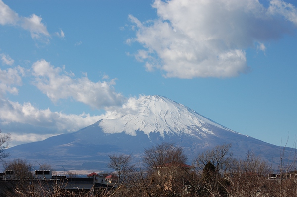 第三届中国人游日本摄影大赛参赛作品赏析-感动到落泪--日本频道--人民网