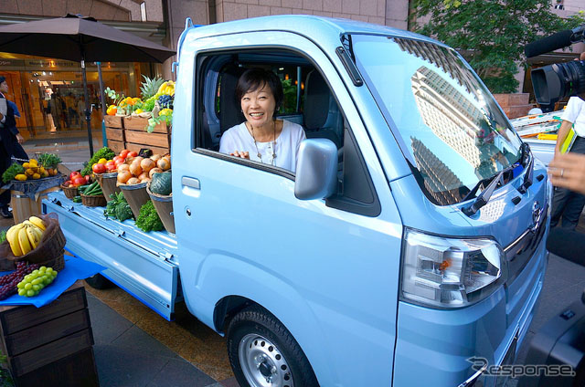 Hijet TruckСͿ