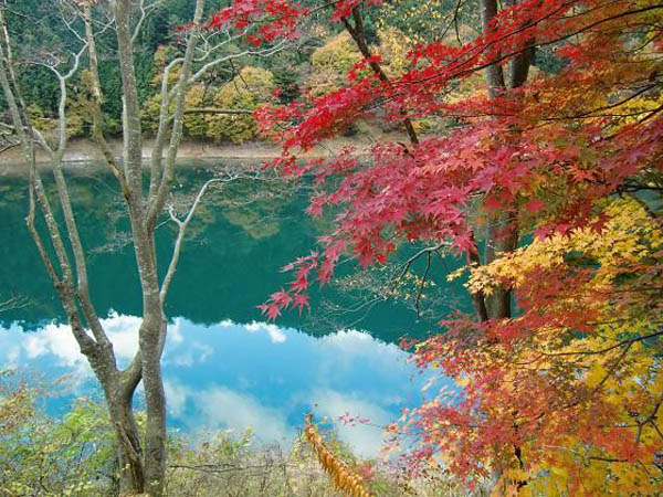【日本旅游·日本自由行景点】奥多摩湖的红叶【2】--日本频道--人民网