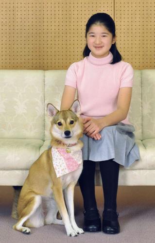 日本公主生日与爱犬拍肖像照 皇家宠物原为流