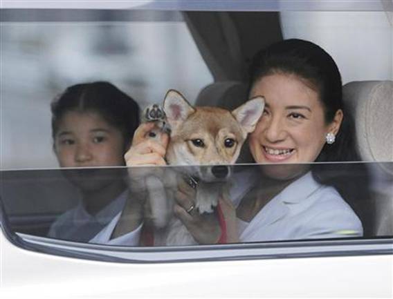 日本公主生日与爱犬拍肖像照 皇家宠物原为流