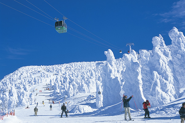 【日本自由行·日本滑雪季】山形县:藏王温泉