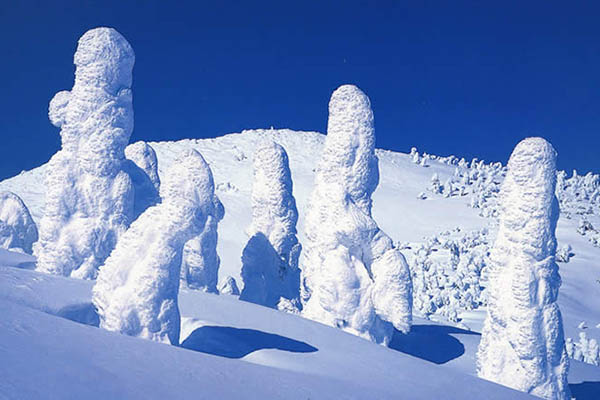 山形县的冬季奇景・树冰
