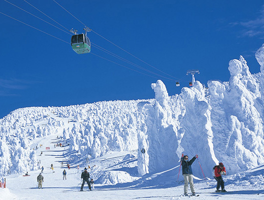 日本东北滑雪