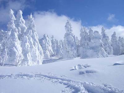 【日本旅游】山形县:滑雪·温泉·赏樱三位一