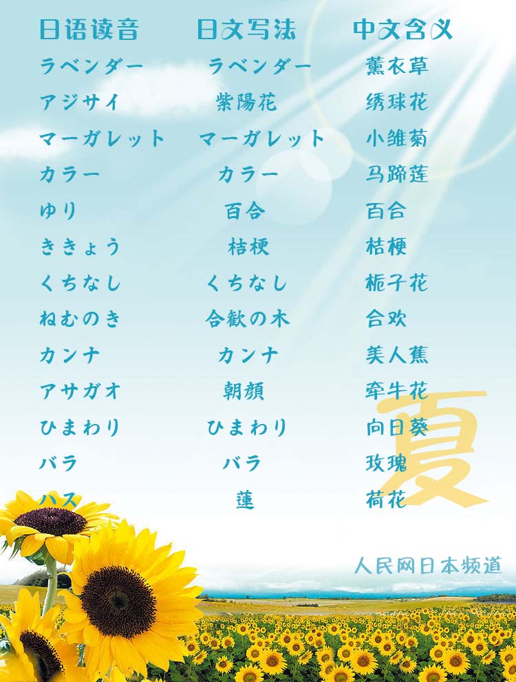 又是一年赏花季!这些花名用日语怎么说?