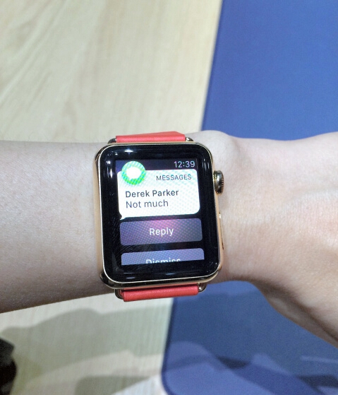 售價最高的Apple Watch Edition（圖片來源：朝日新聞網站）