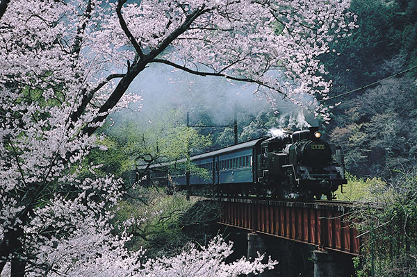 【日本旅游·风物】日本铁道旅行:静冈县大井川铁道【2】--日本频道--人民网