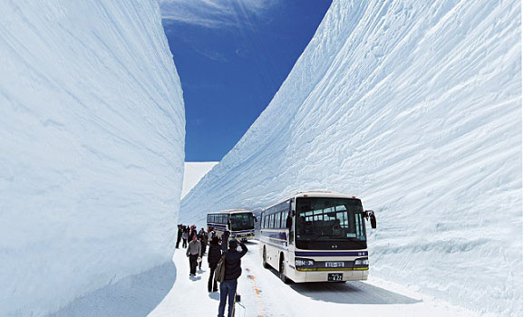 收获的不仅是震撼,还将体验到多个日本第一的景点:日本第一的雪墙奇观