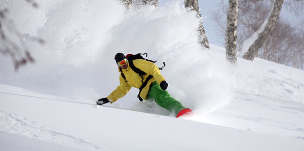 日本滑雪：去雪地上打个滚