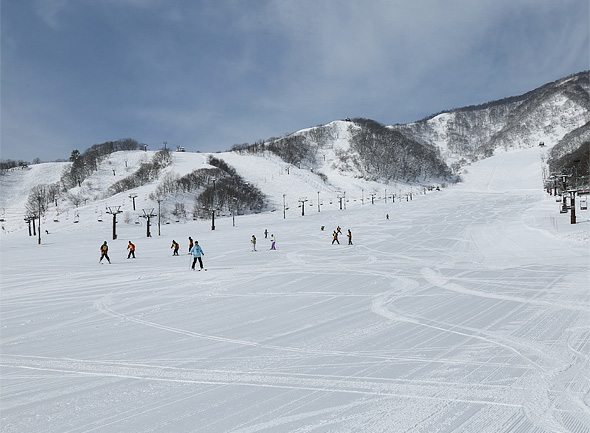 长野滑雪大本营：白马村