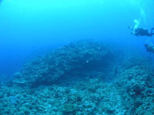 沖繩自由行·沖繩潛水景點：慶良間群島Arigaceble潛水（資料圖）