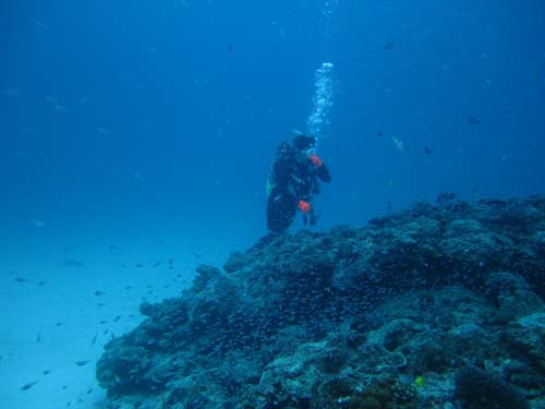沖繩自由行·沖繩潛水景點：慶良間群島Arigaceble潛水（資料圖）