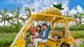 无限试食各式点心、搭乘迷你菠萝观览车。近一个世纪以来，菠萝在冲绳一直作为农作物来栽培。菠萝种植园作为一个旅游热点被发展了起来。名护菠萝园就是这样的一个充满乐趣的菠萝主题公园。