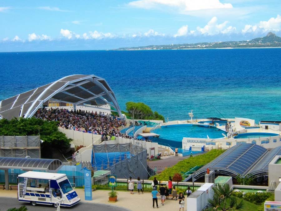 【日本旅游】冲绳自由行必去景点:冲绳美海水族馆