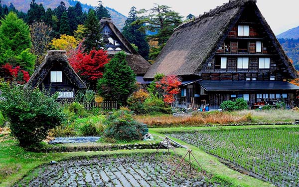 日本旅游·日本自由行景點掃描：岐阜縣白川鄉