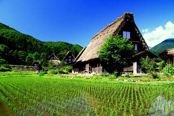 日本旅游·日本自由行景點掃描：岐阜縣白川鄉