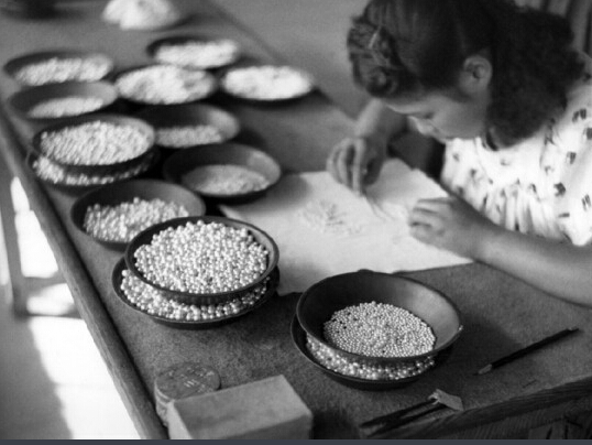 　1949年10月12日，伊勢半島一端的一座珍珠養殖基地裡，一位日本婦女小心翼翼地對珍珠進行分類，根據顏色、大小和形狀的不同，將珍珠分成不同等級。