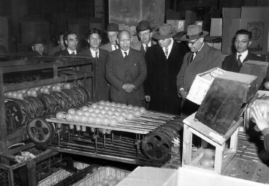 　1951年1月25日，東京芝浦電氣株式會社的工業培訓專家在觀看機器將燈泡送至缺陷分揀員手中的過程。