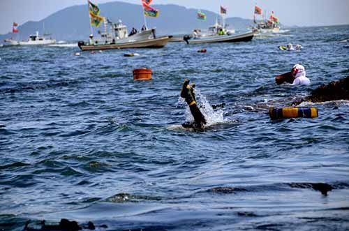 日本旅游見聞：三重縣海女潛海捕魚（資料圖）