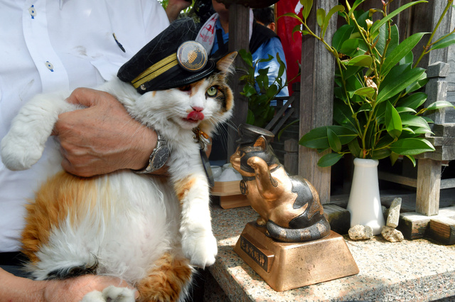 日本车站设立小玉神社 纪念已故猫咪站长小