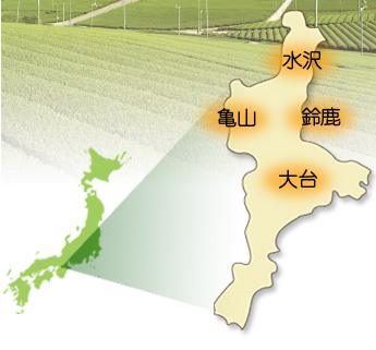 日本茶：三重縣的伊勢茶生產基地示意圖