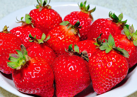博多草莓