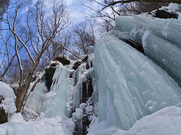 日本自由行景點·日本滑雪賞雪景點：青森縣奧入瀨溪谷冬景