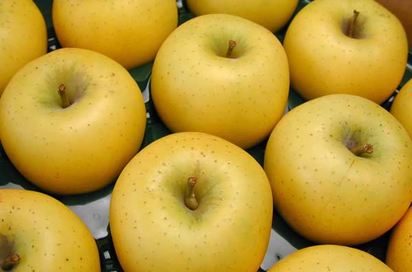 水果王国·长野县:秋天时令水果·苹果