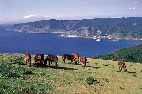日本旅游九州自由行：宮崎縣景點·都井岬
