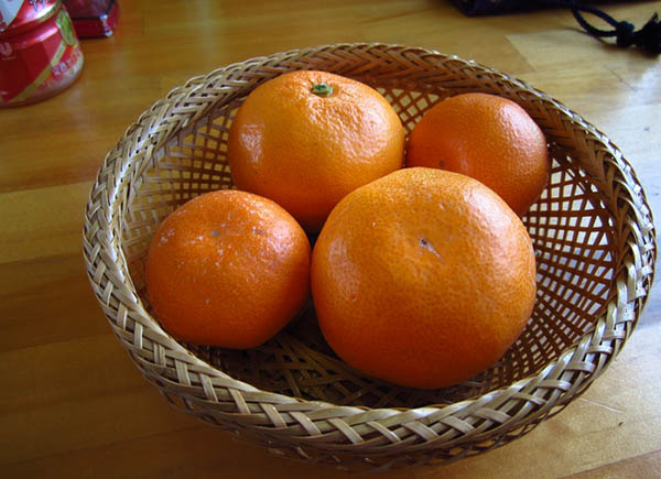冬季日本旅游：岩手縣的被爐列車上的水果