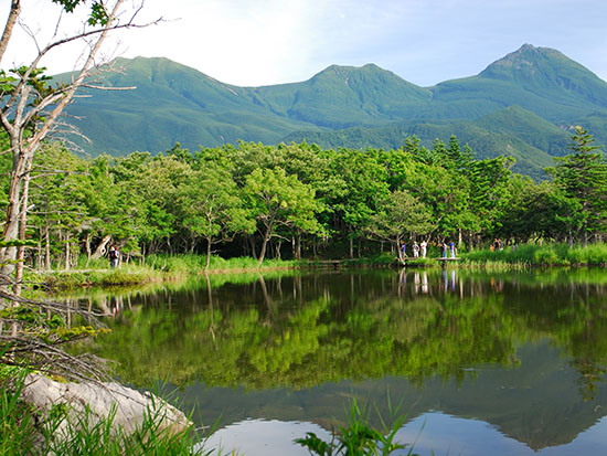 日本旅游北海道自由行:世界自然遗产知床的魅