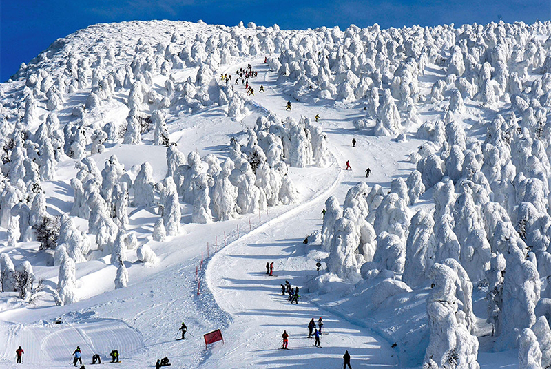 地處日本東北山形縣藏王，樹冰與溫泉是不得不提及的兩道風景線。而在日本滑雪愛好者的心目中，藏王溫泉滑雪場也是最受歡迎的滑雪場之一，成了雪友們冬季不得不去一次的目的地。對於我國雪友來說，無疑最關心的是如何去東北滑雪了吧。從中國去藏王溫泉滑雪場有二種方式：一是從仙台機場前往，二是從山形機場前往。