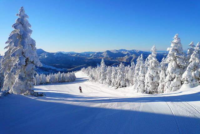 志賀高原滑雪場是對集中在志賀高原的大大小小滑雪場集群的總稱，志賀高原的積雪是日本國內最大規模的，這裡自然也就成了長野冬季運動的“麥加”，而志賀高原滑雪場是長野縣境內眾多知名滑雪場的其中一處。截至到2014-2015年滑雪季，志賀高原滑雪場由19處滑雪場構成，纜車52處，游客持有通票的話，可以自由在任何雪場盡情滑翔，各大雪場之間有擺渡車。