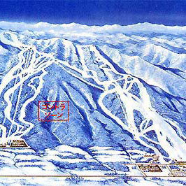 富良野雪場