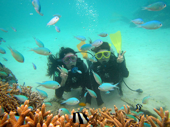 游·冲绳潜水:去石垣岛的珊瑚礁上与热带鱼儿