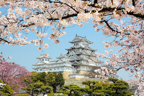 关西既有大阪这样的购物美食天堂，又有京都、奈良悠久的文化旅游资源，向来就不缺游客足迹的。但如果选择了匆匆过客，那会失去了旅游的真意，建议最好还是驻扎一地慢慢欣赏，去触摸风景背后的深意。就比如去日本赏樱花，避免走马观花般的草草了事，推荐透过美景多了解樱花背后的日本文化，加深旅游的文化含量。