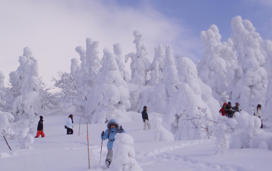 秋田縣一處滑雪場的雪質（資料圖）