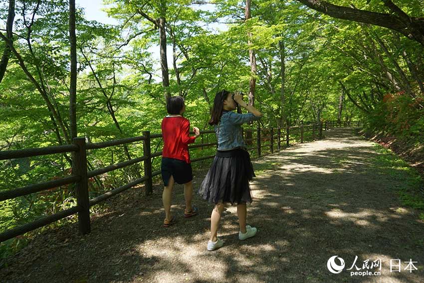 考察團成員記錄大深澤游步道的美景