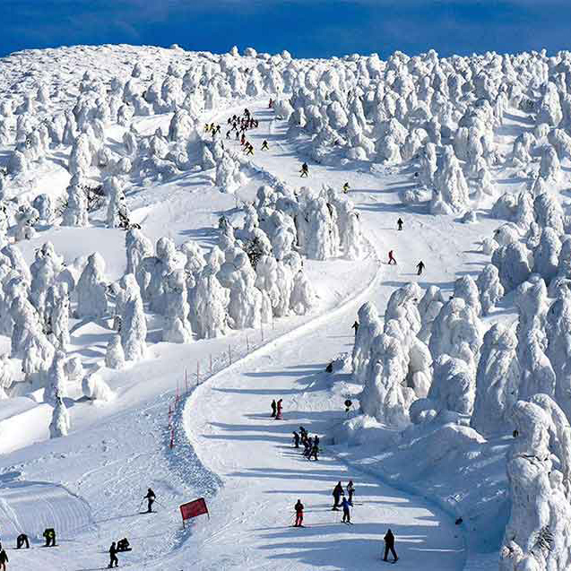 日本東北擁有上乘雪質和數量不少的滑雪場，極有可能將東北建設成國際化的冰雪運動勝地。此外，溫泉、傳統祭、鄉土美食等旅游資源也應該加強推廣力度。