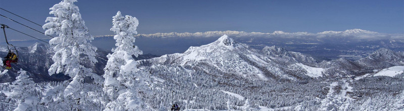 如何去長野白馬·志賀高原滑雪場撒歡兒？