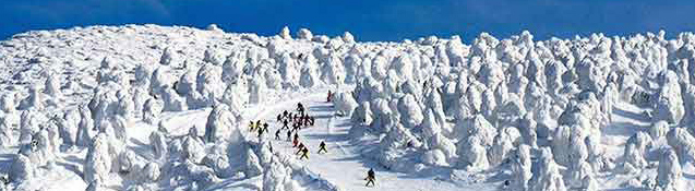去藏王溫泉·安比高原滑雪就這麼幾招